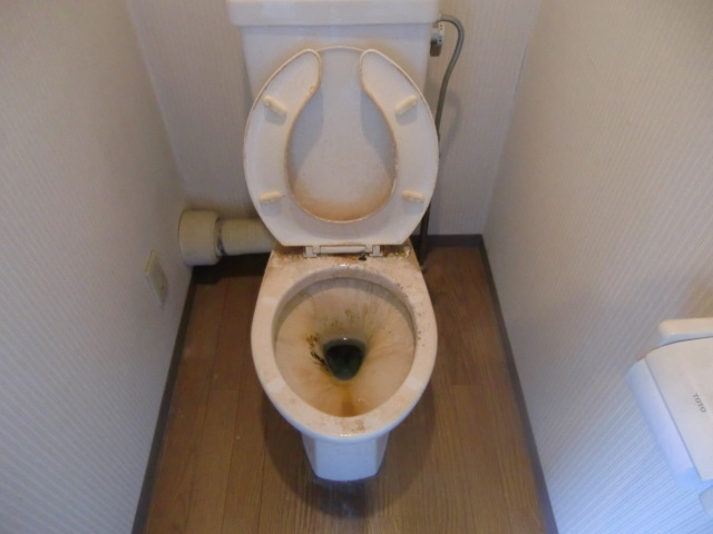 トイレ掃除の一例